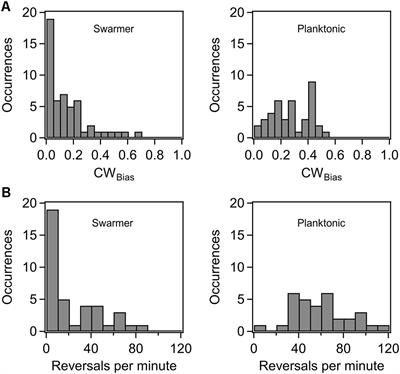 Switching and Torque Generation in Swarming E. coli